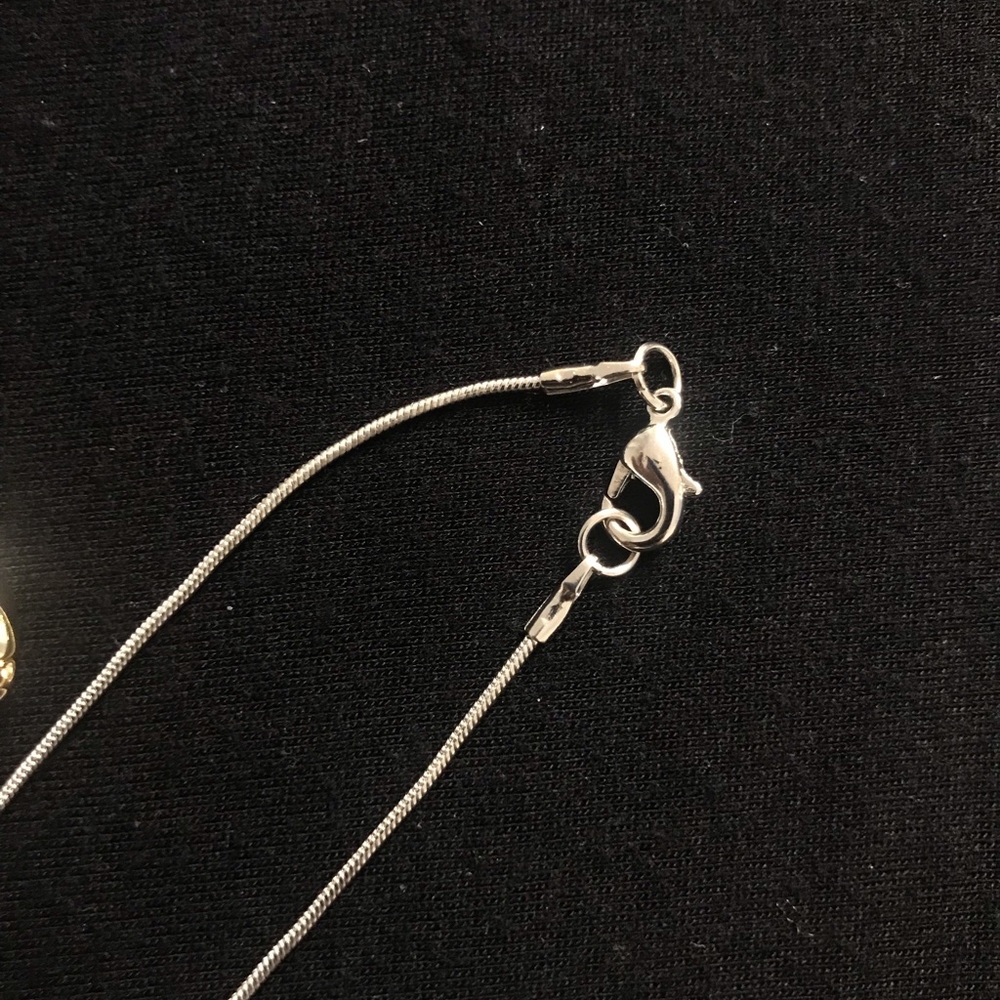 Shell Necklace - Picture 3 of 4